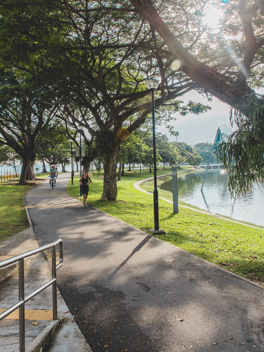 Photo of a park and a runner.